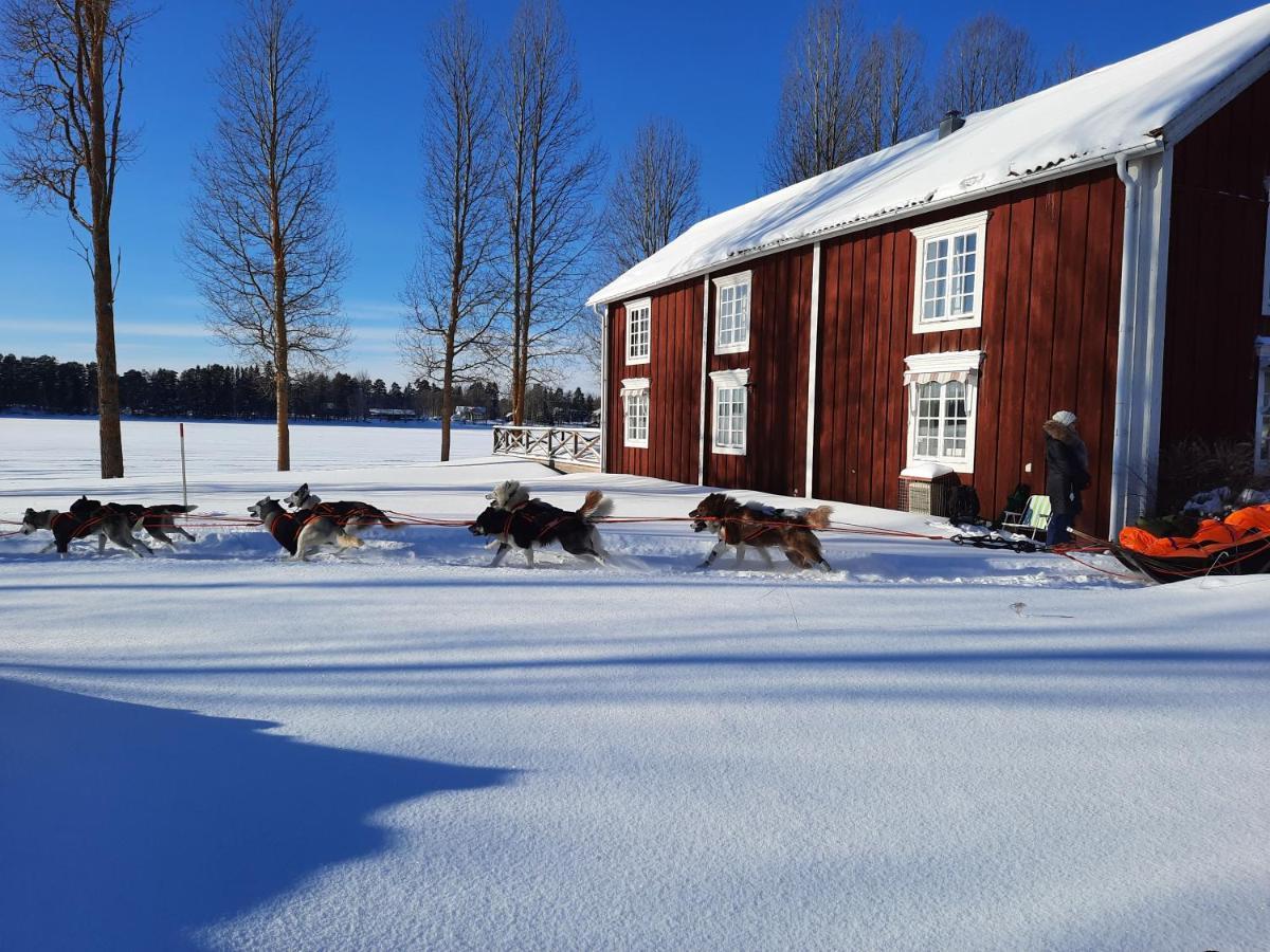 Camp Route 45 Hammerdal Exterior foto